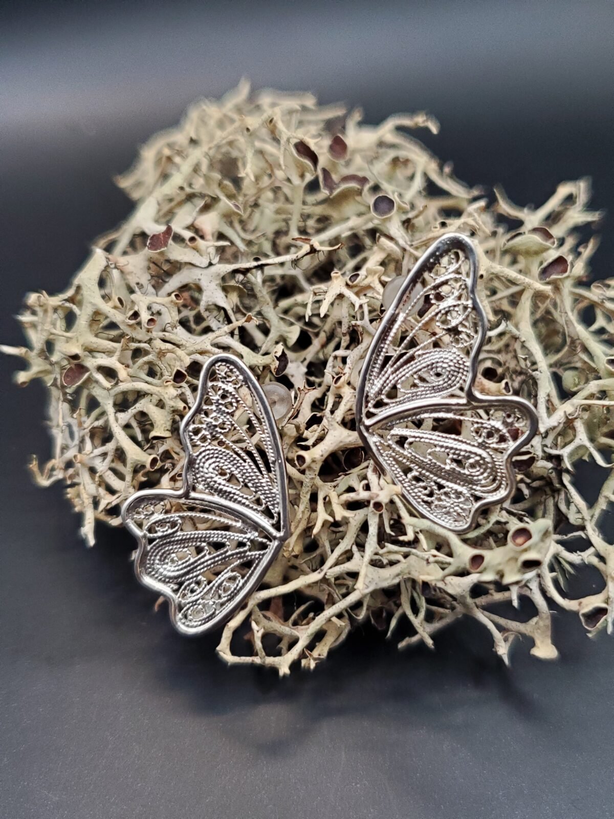 Alitas de mariposa